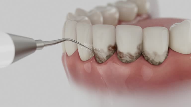 Reliable Dental contractor in Mason County County, MI by Dentist Open Now